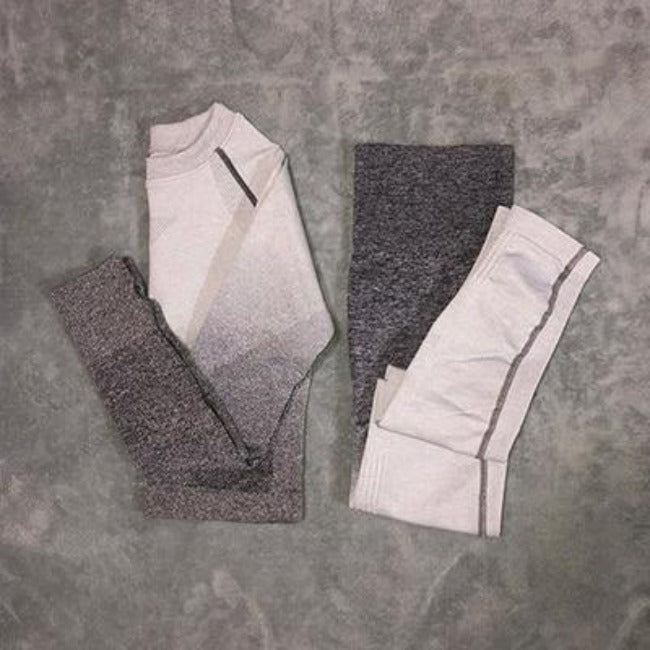 Flex Sports Seamless Leggings+Crop Long Sleeves Set - GearMeeUp