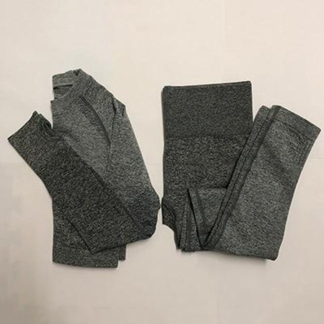 Flex Sports Seamless Leggings+Crop Long Sleeves Set - GearMeeUp