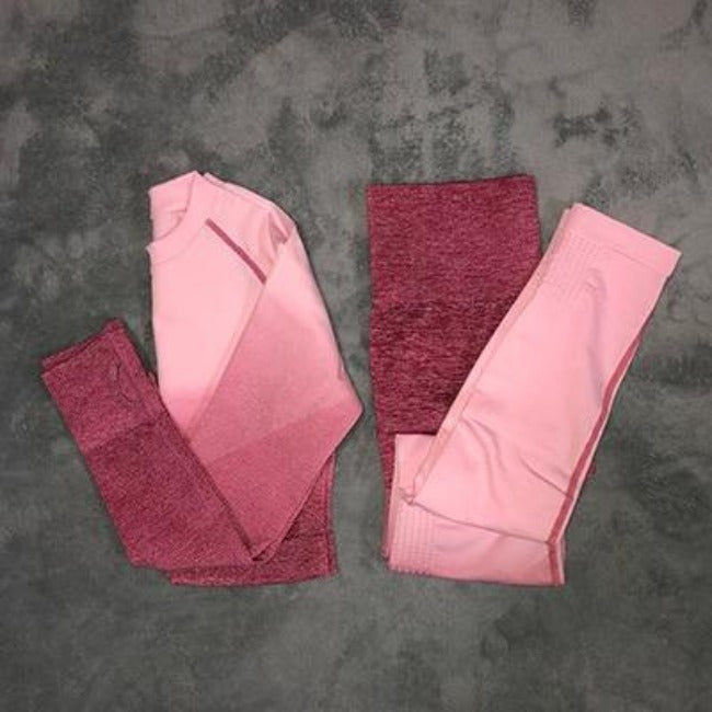 Flex Sports Seamless Leggings+Crop Long Sleeves Set - GearMeeUp