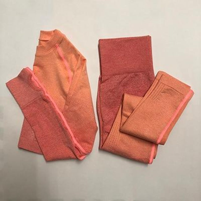 Flex Sports Seamless Leggings+Crop Long Sleeves Set - GearMeeUp