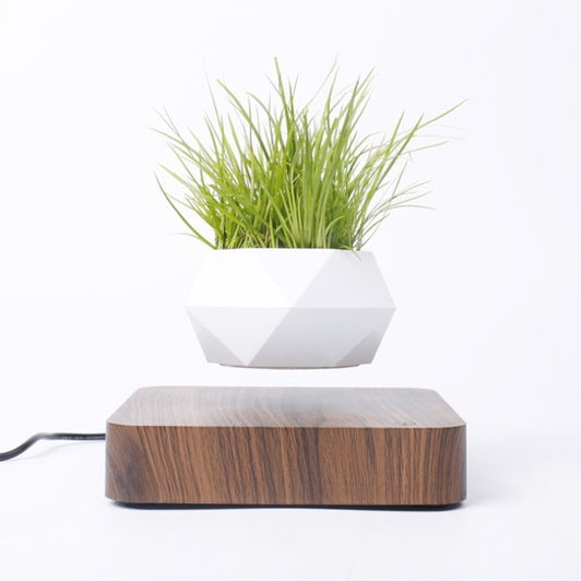 Levitating Air Plant Pot - GearMeeUp