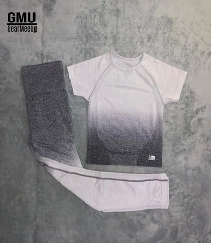 Ombre Seamless Leggings+Crop Top Set