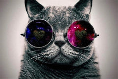 Pop Art Creative Animals Canvas Oil Paintings Galaxy Glasses Cat Posters and Prints Wall Pictures for Bedroom Home Decoration - GearMeeUp