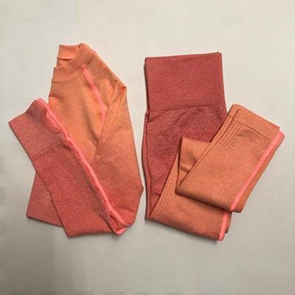 Flex Sports Seamless Leggings+Crop Long Sleeves Set - GearMeeUp
