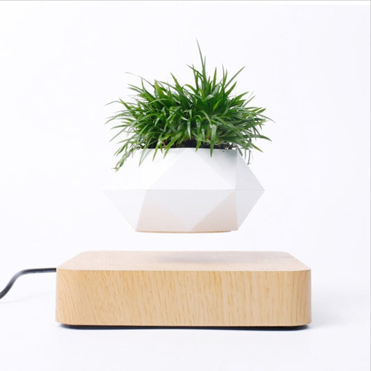 Levitating Air Plant Pot - GearMeeUp