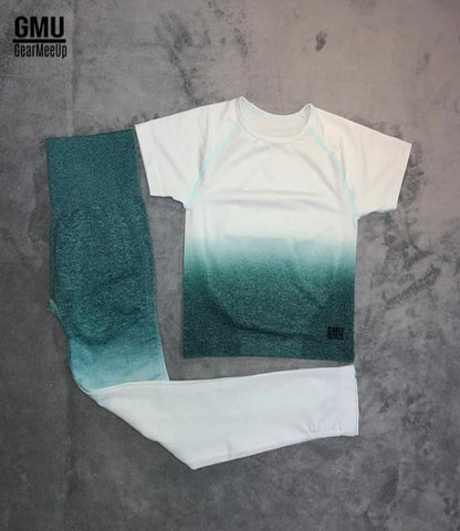 Ombre Seamless Leggings+Crop Top Set