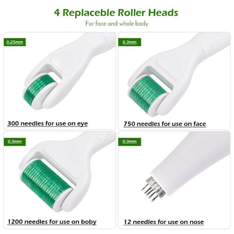 6 in 1 Micro Needle Derma Roller Kit - GearMeeUp